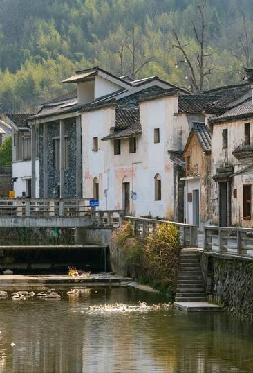 富阳文村 - 现代建筑封面图